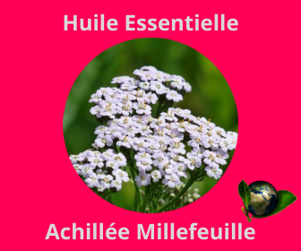 Achillée Millefeuille HE