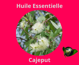 Cajeput HE