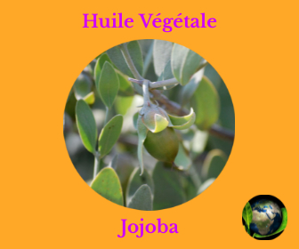 Jojoba HV