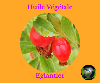 Eglantier HV