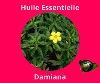 Damiana HE