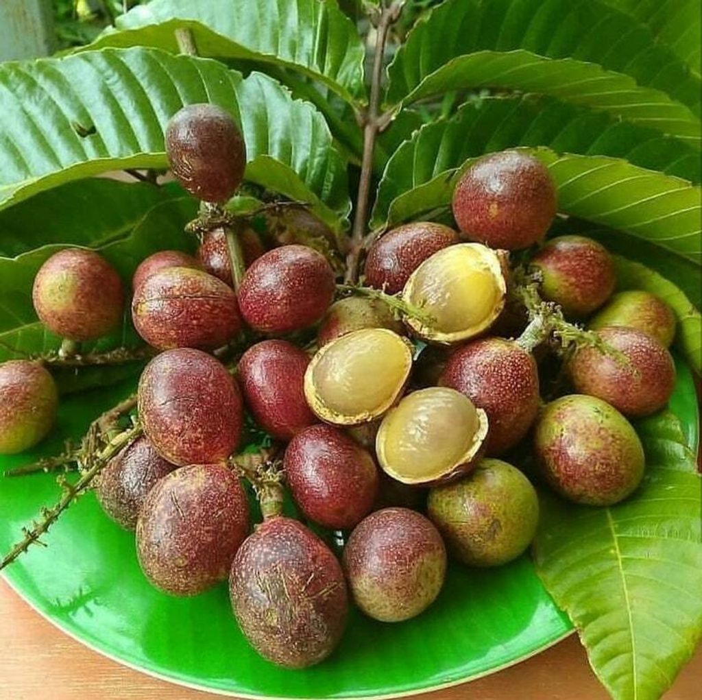 Photographie de Litchi du Pacifique