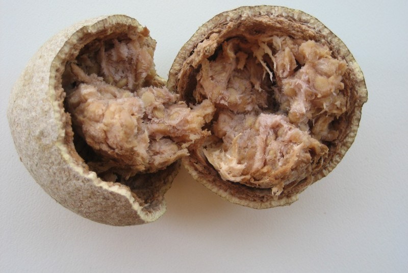 Photographie de Pomme à coque